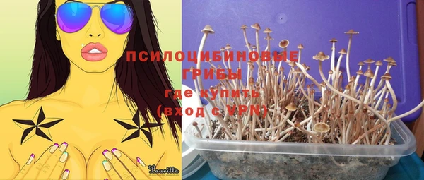 скорость Алзамай