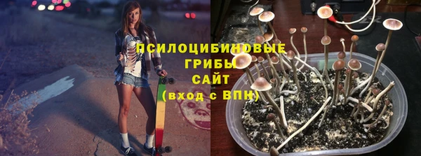 2c-b Абдулино