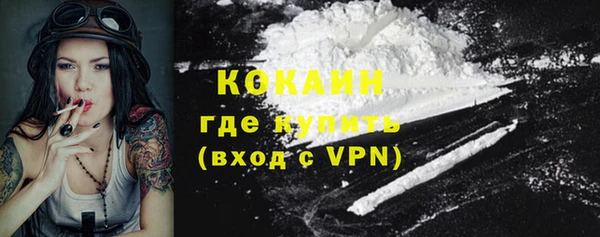 меф Пересвет