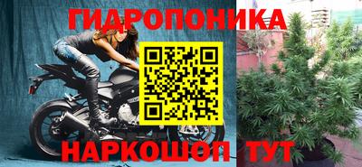 шишки Усть-Илимск