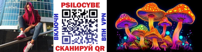 купить закладку  Новокубанск  Галлюциногенные грибы Psilocybe 