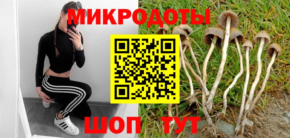 Новокубанск  Галлюциногенные грибы Cubensis  Вход с VPN  Галлюциногенные грибы ЛСД 